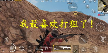 打靶枪游戏,打靶枪游戏激情体验全解析(图2) 打靶枪游戏,打靶枪游戏激情体验全解析(图2)