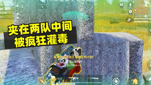 猴子游戏解说,带你领略动物世界的智慧风采(图1)