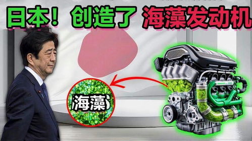 藻类游戏,藻类游戏中的生态奥秘之旅(图2)