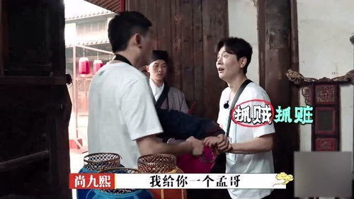 炮灰堂游戏,穿越时空的奇幻冒险之旅(图1)