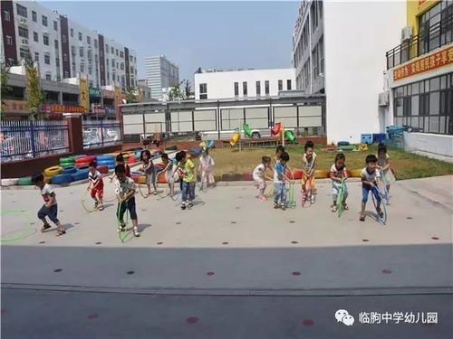 传统游戏室外,探索传统游戏世界的奇妙之旅(图3)
