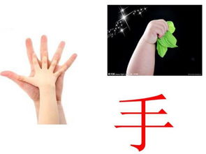 口耳目游戏,趣味盎然的智力游戏体验(图1)