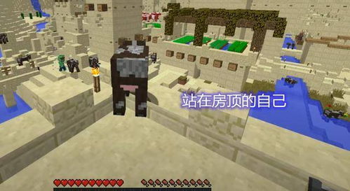 我的世界猎人游戏游戏,我的世界猎人游戏生存之旅(图3) 我的世界猎人游戏游戏,我的世界猎人游戏生存之旅(图3)