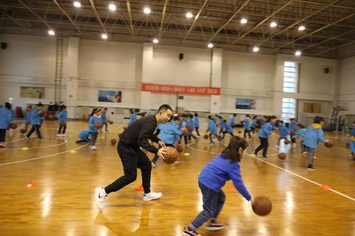运球游戏讲授,运球游戏教学解析(图3) 运球游戏讲授,运球游戏教学解析(图3)