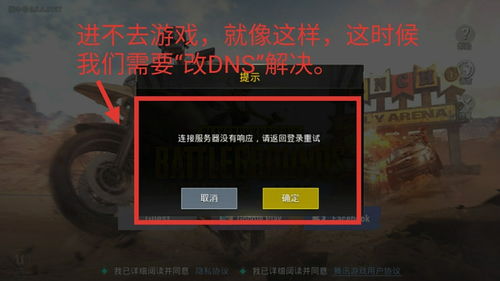 下载游戏dns,解锁畅玩体验的秘密通道(图2) 下载游戏dns,解锁畅玩体验的秘密通道(图2)