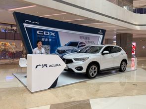 游戏cdx,探索未知世界的奇幻冒险之旅(图1)