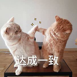 大宇聊游戏,探寻虚拟世界的无限魅力(图1) 大宇聊游戏,探寻虚拟世界的无限魅力(图1)