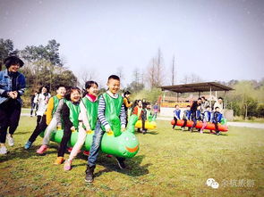 探索游戏亲子,开启欢乐互动新篇章(图2) 探索游戏亲子,开启欢乐互动新篇章(图2)