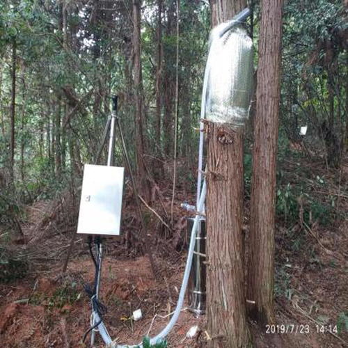 树茎游戏,探索自然与智慧的奇妙之旅(图1) 树茎游戏,探索自然与智慧的奇妙之旅(图1)