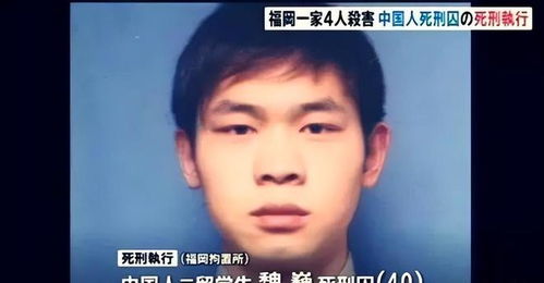 游戏魏巍,游戏世界的传奇英雄(图2)