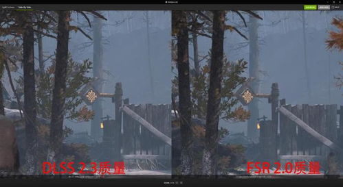 双修入门游戏,探索神秘双修世界的入门指南(图2) 双修入门游戏,探索神秘双修世界的入门指南(图2)