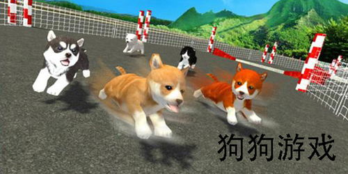 标点狗游戏,提升语文素养的益智之旅(图2)