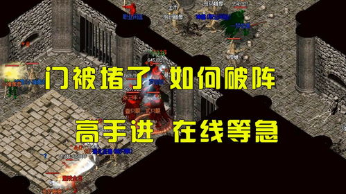 堵门游戏简单,趣味盎然的社交竞技新体验(图3) 堵门游戏简单,趣味盎然的社交竞技新体验(图3)