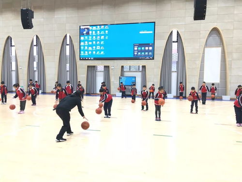 抢拍球游戏,速度与技巧的极限对决(图2) 抢拍球游戏,速度与技巧的极限对决(图2)