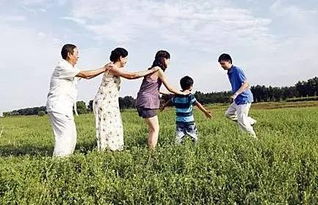 上网亲子游戏,网络时代下的温馨游戏时光(图2)