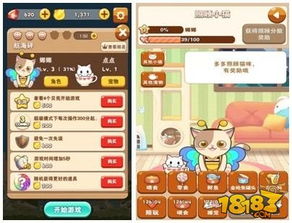 全民猫猫游戏,畅游奇幻猫界(图3) 全民猫猫游戏,畅游奇幻猫界(图3)