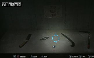闭锁游戏,揭秘心理迷宫的挑战与成长之旅(图3)