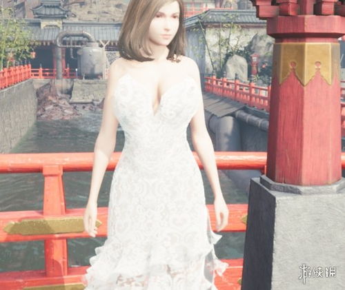 婚纱裙游戏,穿越时空的美丽邂逅(图3)