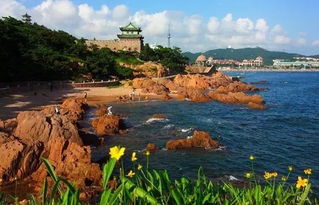 青岛游戏周边,潮流与创意的完美融合(图3)