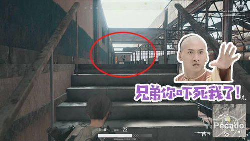 玩蹲游戏,一场充满趣味与挑战的团队游戏体验(图2) 玩蹲游戏,一场充满趣味与挑战的团队游戏体验(图2)