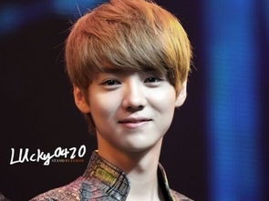 橙光游戏迷途鹿晗攻略,橙光游戏情感之旅(图1) 橙光游戏迷途鹿晗攻略,橙光游戏情感之旅(图1)