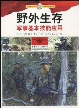 军事游戏书籍,揭秘战场背后的战术秘籍(图1)