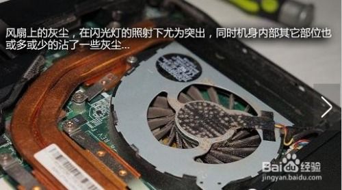 清灰游戏,探索神秘世界的奇幻冒险之旅(图1)