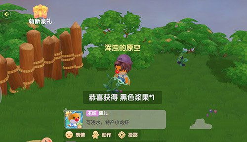 彩虹浆果游戏,探索奇幻森林的冒险之旅(图2)