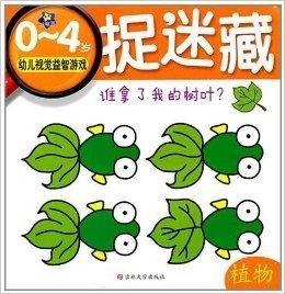 益智游戏视觉感知游戏,益智游戏中的视觉感知游戏攻略解析(图1)