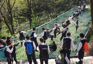 森林徒步游戏,沉浸式徒步游戏体验揭秘(图2) 森林徒步游戏,沉浸式徒步游戏体验揭秘(图2)