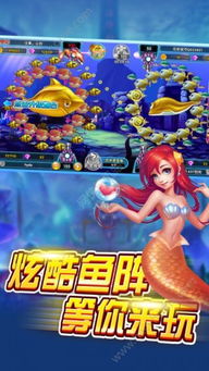网鱼装游戏,畅游虚拟世界的全新体验之旅(图3)