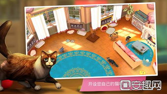 猫咪时间游戏,探索猫咪神秘生活的趣味游戏之旅(图1)