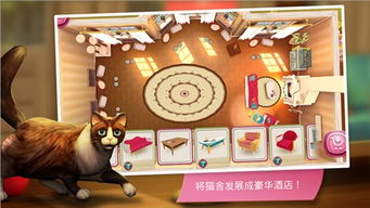 猫咪时间游戏,探索猫咪神秘生活的趣味游戏之旅(图3)