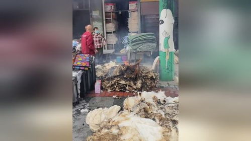 游戏卖棉花,游戏中的农业革命与财富传奇(图2) 游戏卖棉花,游戏中的农业革命与财富传奇(图2)