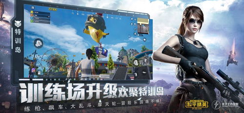 精英游戏玩家,技能、策略与激情的完美融合(图1)