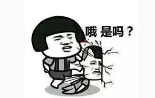 不苦游戏,探寻快乐与挑战的完美融合之旅(图2)