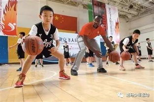 踢篮球游戏,指尖上的热血竞技之旅(图1) 踢篮球游戏,指尖上的热血竞技之旅(图1)