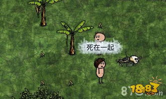 醋栗游戏,醋栗游戏的冒险之旅(图3) 醋栗游戏,醋栗游戏的冒险之旅(图3)