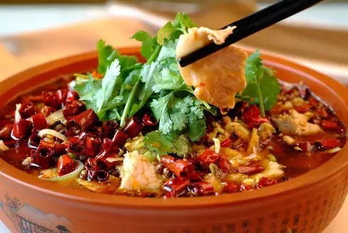 水煮肉游戏,一网打尽美食与策略的竞技盛宴(图1) 水煮肉游戏,一网打尽美食与策略的竞技盛宴(图1)