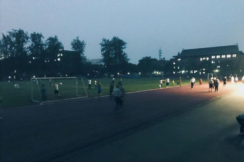 操场夜晚游戏,欢乐无限的游戏时光(图2) 操场夜晚游戏,欢乐无限的游戏时光(图2)