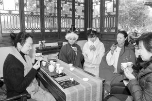 插花游园游戏,乐游花海——插花游园游戏欢乐盛宴(图3)