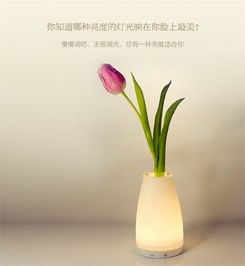 插花游园游戏,乐游花海——插花游园游戏欢乐盛宴(图2)