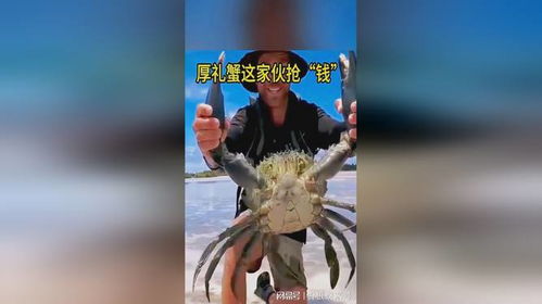 厚礼蟹游戏,探寻海洋深处的奇幻冒险之旅(图3)