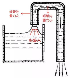 吸管游戏原理,揭秘团队协作与策略运用的奥秘(图1) 吸管游戏原理,揭秘团队协作与策略运用的奥秘(图1)