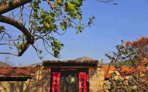 游戏山中老屋,穿越时空的神秘之旅(图2) 游戏山中老屋,穿越时空的神秘之旅(图2)
