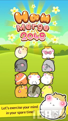 仓鼠游乐场手机版下载 (图1) 仓鼠游乐场手机版下载 (图1)