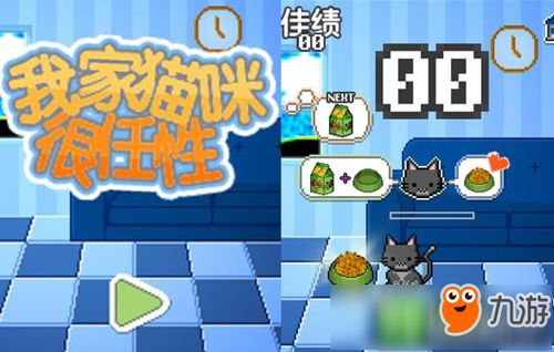 猫残疾游戏,残疾猫的奇幻冒险之旅(图3) 猫残疾游戏,残疾猫的奇幻冒险之旅(图3)