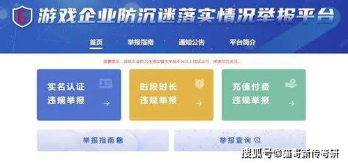 游戏违章,揭秘那些令人捧腹的违章瞬间(图3) 游戏违章,揭秘那些令人捧腹的违章瞬间(图3)