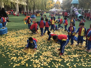 自然自主游戏,释放儿童潜能的绿色乐园(图1) 自然自主游戏,释放儿童潜能的绿色乐园(图1)