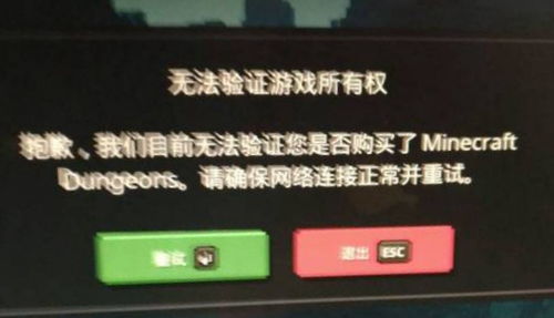 验证游戏权,解锁虚拟世界畅游之旅(图3)